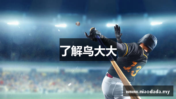 了解鸟大大